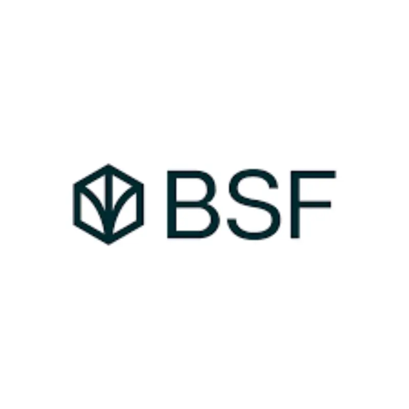 BSF